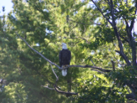 img_4977.jpg